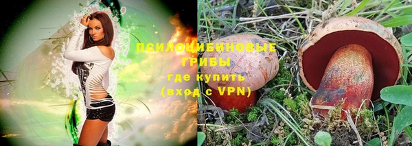 соль ск Гусь-Хрустальный