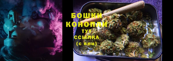 винт Гусиноозёрск