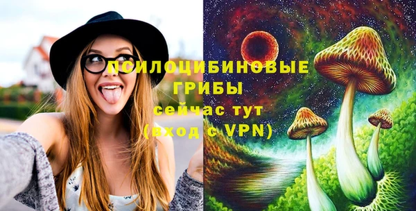 MESCALINE Гусев
