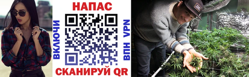 Купить закладки  Котельниково  Бошки Шишки индика 